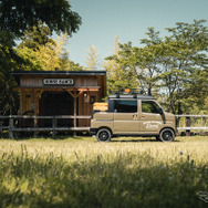 DAMD ATRAI FUZZ DECKVAN