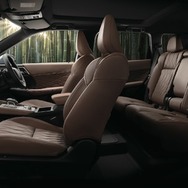P Executive Package
