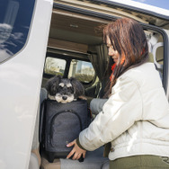 広く開けられるスライドドアなので愛犬の乗り降りも非常にやりやすい