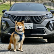 プジョー 2008 GT BlueHDi