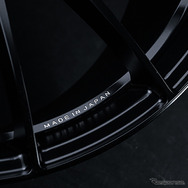 RAYS VMF L-01