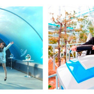 水族館からアトラクションまで！シーパラダイスをトコトンお得に満喫できる
