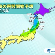 花粉の飛散開始予想