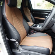 BYD シーライオン6