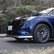 NISSAN LEAF AUTECH