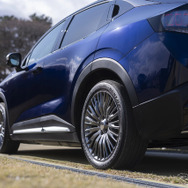 NISSAN LEAF AUTECH