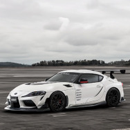 RAYS VOLK RACING「CE28N-plus」19インチ