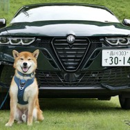 アルファロメオ トナーレ イブリダ ヴェローチェ