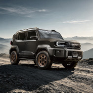 レイズ ボルクレーシング TE37 XT 30th（ブロンズアルマイト） × トヨタ ランドクルーザー FJ
