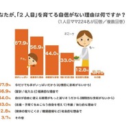 「２人目を育てる自信がない理由は何か」