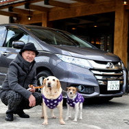 燃費は？乗心地は？ ホンダ オデッセイハイブリッド で鬼怒川へ…温泉宿で愛犬と過ごす