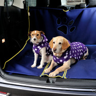 純正ペットアクセサリー「Honda Dogシリーズ」のアイテムも活用