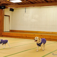 屋内ドッグランはなんと約100畳。雨でも安心だ（鬼怒川 絆）