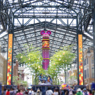 ウィッシングプレイス／東京ディズニーランド