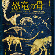 「骨の博物館」シリーズ第3弾「 恐竜の骨」