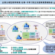 企業主導型保育事業
