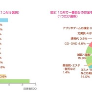 お小遣いの額について／1か月で一番自分のお金をかけるものについて