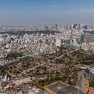 東京シティービューからの眺め。