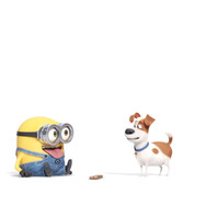 『ペット』×『ミニオンズ』　(C)Universal Studios.