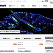 理化学研究所