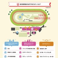 今年の日本ダービー1番人気は「マカヒキ」…日本ダービーに関する意識調査