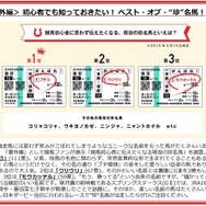 今年の日本ダービー1番人気は「マカヒキ」…日本ダービーに関する意識調査