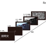視覚の時間精度を測る実験のイメージ