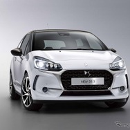 DS 3 改良新型