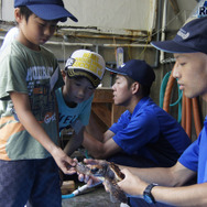 鴨川シーワールド「サマースクール」ウミガメ観察