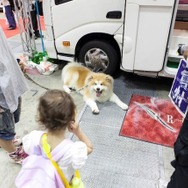 「東京キャンピングカーショー」が7月開催…過去最多の約160台を展示