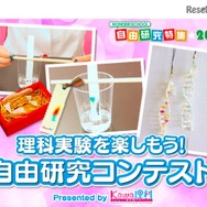 理科実験を楽しもう！自由研究コンテスト Presented by Kawaii 理科プロジェクト