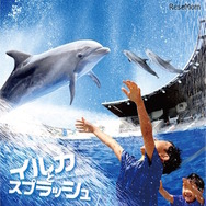 イルカとスプラッシュ!!