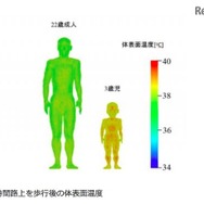 60分間路上を歩行後の体表面温度（成人男性と幼児）