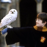 『ハリー・ポッターと賢者の石』inコンサート　HARRY POTTER characters, names and related indicia are （C） & TM Warner Bros. Entertainment Inc. Harry Potter Publishing Rights （C） JKR. (s16)