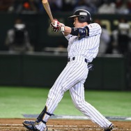 山田哲人 参考画像