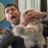 『メン・イン・キャット』　（C）2016 - EUROPACORP - All rights reserved