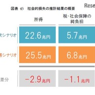 社会的損失の推計結果の概要