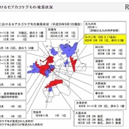 福岡県におけるセアカゴケグモの発見状況