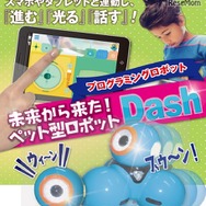 ダッシュくん