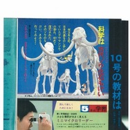 科学のふろく