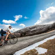 WIAWIS、自転車の試乗車を宅配レンタルするサービス開始