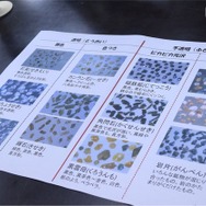 結晶の一覧
