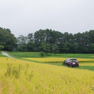八ヶ岳の裾野の田園地帯を走る。