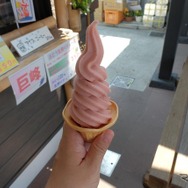 にんぎり飯屋というソフトクリーム屋でいちごソフトをオーダー。凍らせたいちごをすり潰しているのかと思うくらいの濃度だった。梅味も美味しかった。