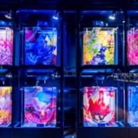 「すみだ水族館」で「ふわきゅん、クラゲまつり」開催！クラゲの神秘的な世界に浸るイベント満載 画像