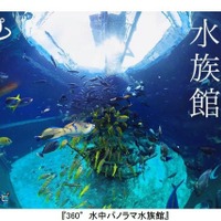 ダイバーと花火師を疑似体験…フジテレビ、360度動画提供開始 画像