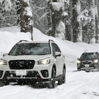 【スバル フォレスター 雪上試乗】e-BOXERで進化した制御を“スバルAWDの故郷”で味わう…丸山誠 画像