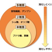 受験勉強と糖分、バナナに含まれる多様な糖分でエネルギーを長時間持続 画像