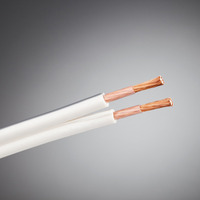 【連載】“取り付け方”で音が変わる? Part6 ケーブル編 その2「スピーカーケーブル ll」 画像