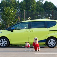【トヨタ シエンタ ペット旅行記】コンパクトミニバンで大人2人＆犬2頭の旅に出られるか？ 画像